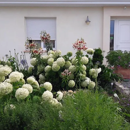 招待所 勒菲莱酒店