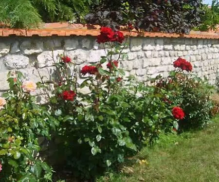 招待所 勒菲莱酒店 富拉