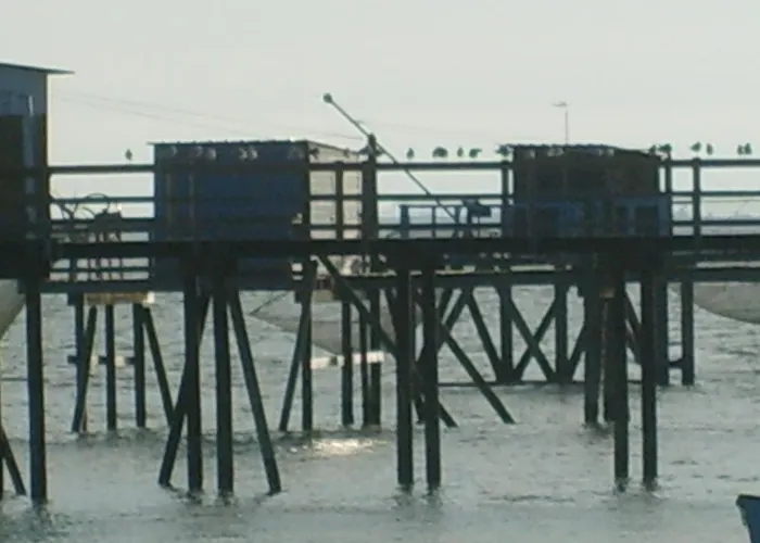Le Phare *